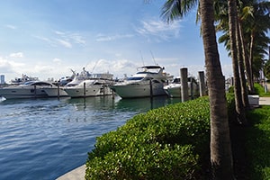 Marina in South Beach - 1