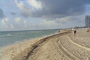 Person in Walking on a Beach.