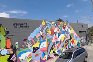 Wyndwood Walls